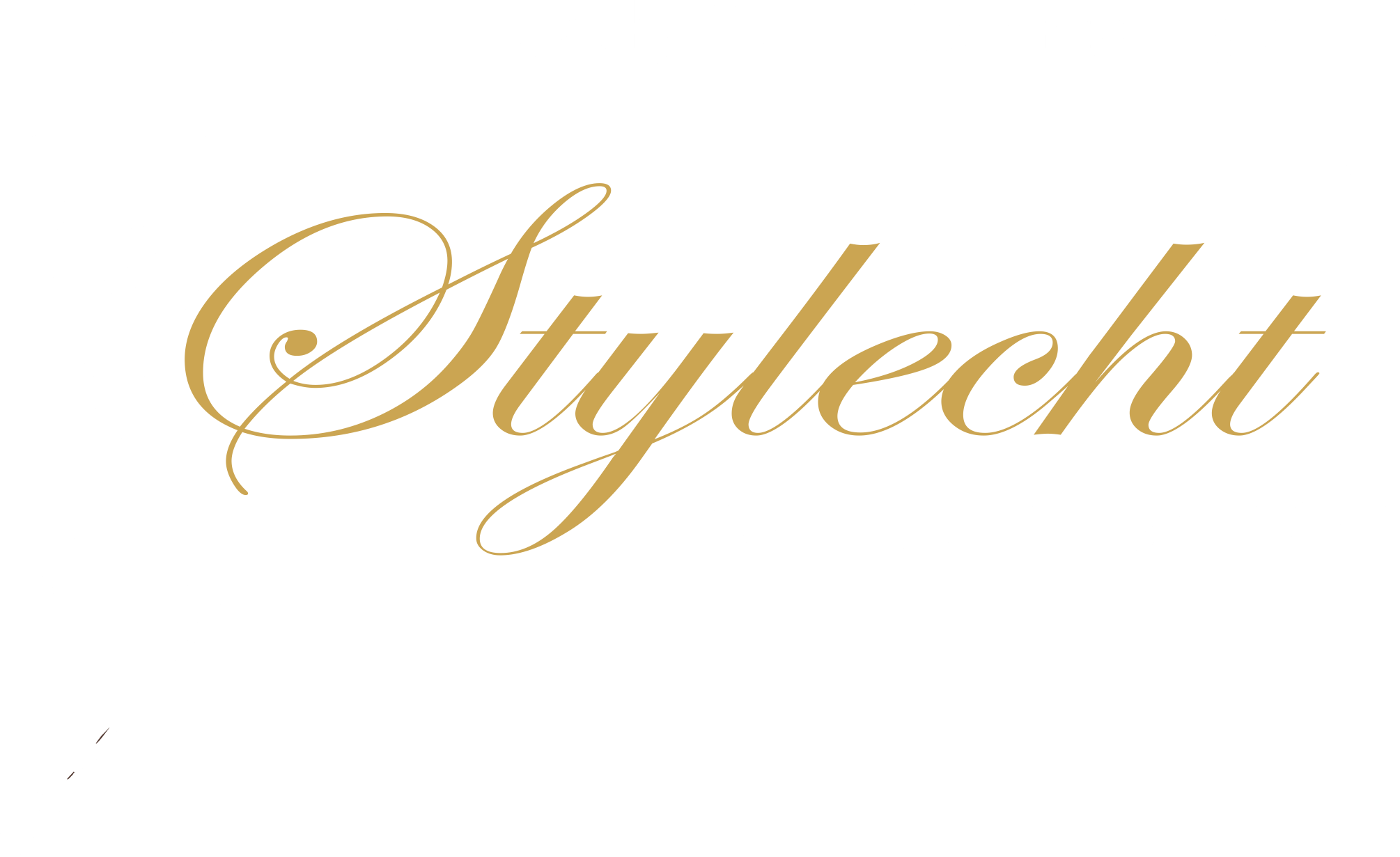 Stylecht Logo